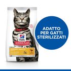 Hill's Science Plan Cat Adult Urinary Health con Pollo 1,5 kg