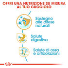 Royal Canin Dog Puppy Bulldog 12 kg  