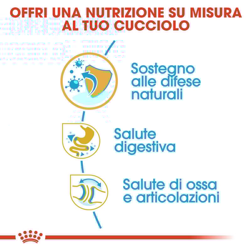 Royal Canin Dog Puppy Bulldog 12 kg  