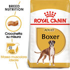 Royal Canin Dog Adult e Senior Boxer 3 kg - Scad. Dicembre 25