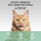 Schesir Cat Tonnetto con Zucca in Jelly 70 gr