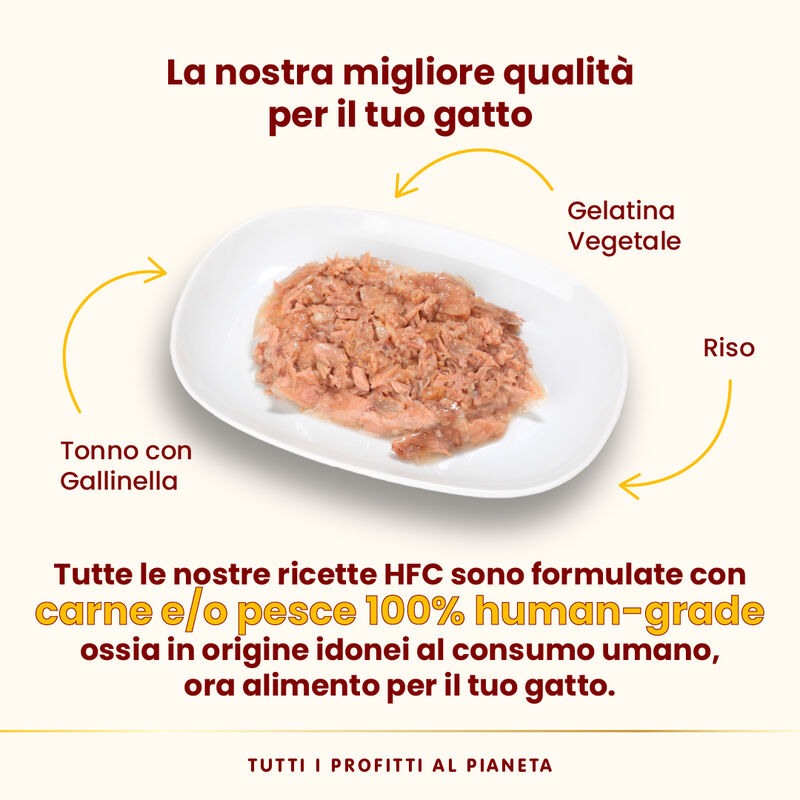 Almo Nature HFC Cat Jelly Tonno con Gallinella 70g