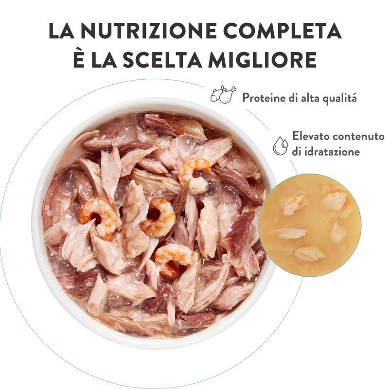 Schesir Cat Adult Tonnetto con Salmone 85 gr