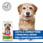Hill's Science Plan Dog Senior Vitality Small & Mini Mature Adult 7+ al Pollo e Riso 1,5 kg - Scad Aprile 2026