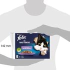 Felix Le Ghiottonerie Cat Adult Le Preferite  72 pz x 85 gr