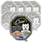 Cesar Dog Selezione dell'Orto con Agnello Tacchino e Fagiolini in Gelatina 150 gr
