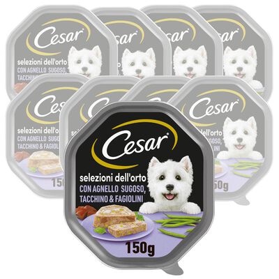 Cesar Dog Selezione dell'Orto con Agnello Tacchino e Fagiolini in Gelatina 150 gr