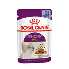 Royal Canin Cat Adult Sensory Smell Jelly Busta 85 gr