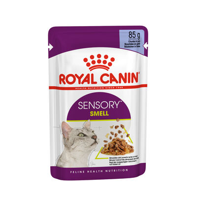 Royal Canin Cat Adult Sensory Smell Jelly Busta 85 gr
