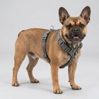 Trixie Premium Pettorina ad H Color Grigio Tg S-M