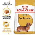 Royal Canin Dog Adult e Senior Bassotto 1,5 kg