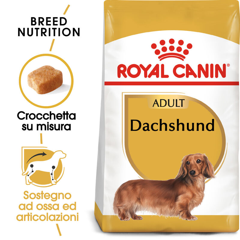 Royal Canin Dog Adult e Senior Bassotto 1,5 kg