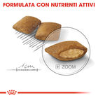 Royal Canin Dog Mini Adult e Senior Exigent 1 kg