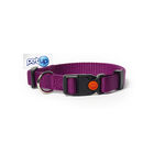 Petup Collare nylon a sgancio mm 18 viola