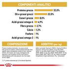 Royal Canin Cat Kitten Persian 2 kg