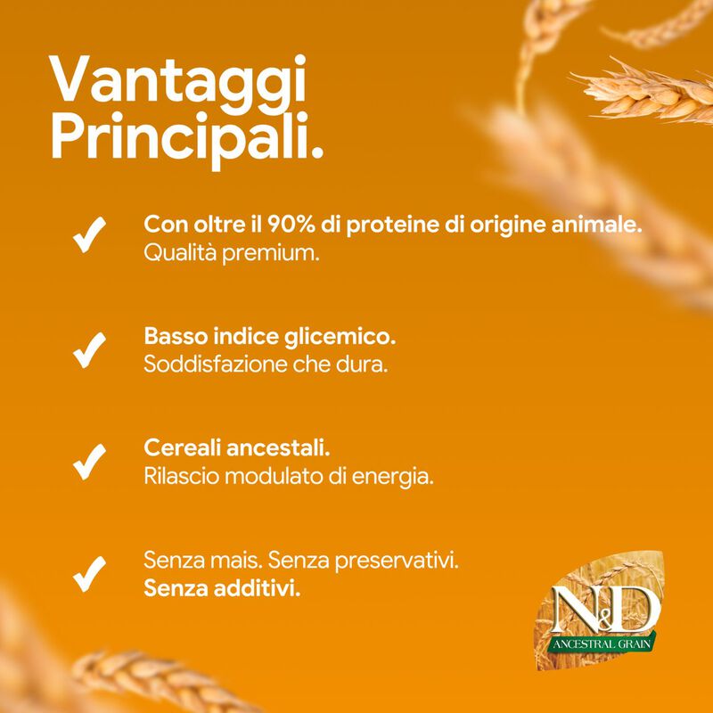 N&D Farmina Ancestral Grain Puppy Medium & Maxi Agnello e Mirtillo 12 kg