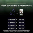 Purina Pro Plan LiveClear Cat Kitten ricco In Tacchino 1,4 kg