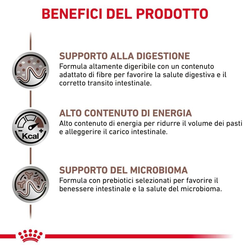 Royal Canin Veterinary Diet Dog Gastrointestinal 15 kg