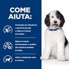 Hill's Prescription Diet Dog c/d Multicare 4 kg