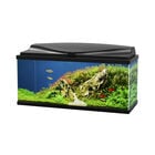 Ciano Acquario Aqua 80 Led Nero