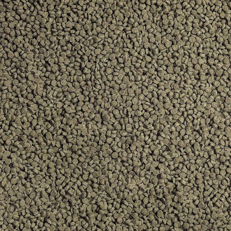 Sera Goldfish Granules 50 ml