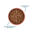 Wow Dog Adult Manzo con mela e barbabietola rossa 6kg