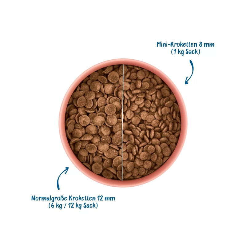 Wow Dog Adult Manzo con mela e barbabietola rossa 6kg