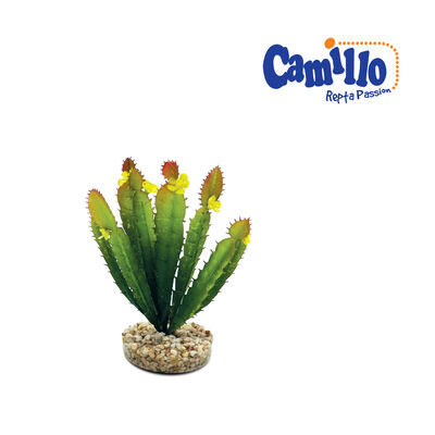 Camillo Repta Passion Pianta Terra Cactus 17 cm