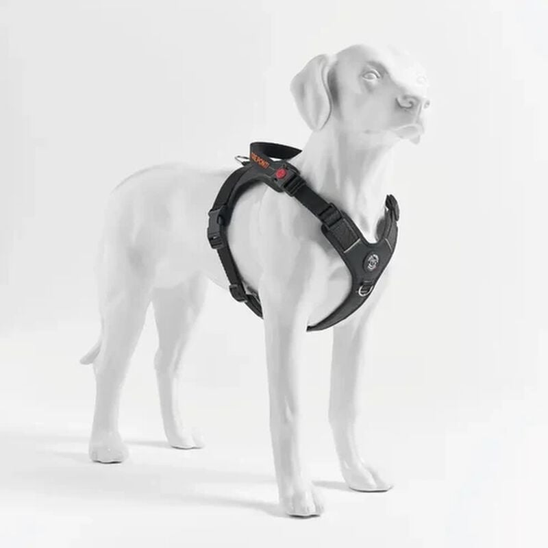 Tre Ponti Harmonia Pettorina per cani tg XL col. Nero