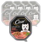 Cesar Dog Scelta dello Chef con Manzo Riso e Verdure 150 gr