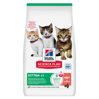 Hill's Sience Plan Kitten al Salmone 1,5 kg