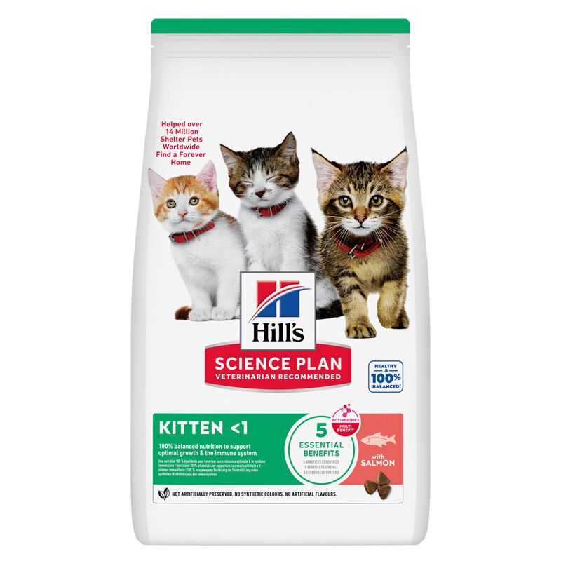 Hill's Sience Plan Kitten al Salmone 1,5 kg
