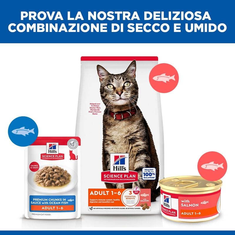Hill's Science Plan Mousse per gatti adulti con Salmone 85 gr