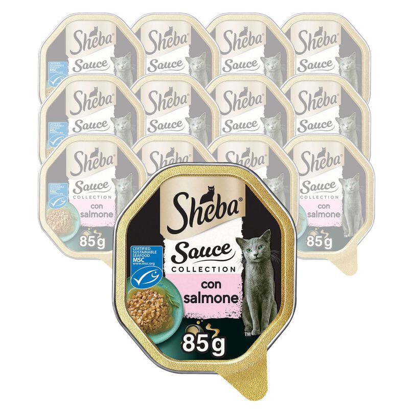 Sheba Cat Sauce Collection con Salmone 85 gr