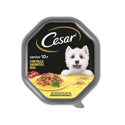Cesar Dog Senior Pollo saporito e Riso in Gelatina 10+ 150 gr