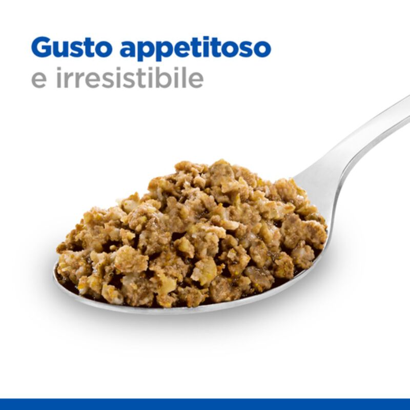 Hill's Science Plan Dog Adult Mature 7+ Manzo 370 gr