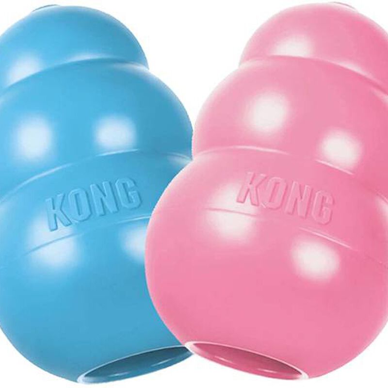Kong Puppy medium