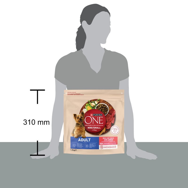 Purina One Dog Mini Adult ricco in Manzo con riso 800gr