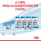 Royal Canin Dog Adult e Puppy Starter 195 gr