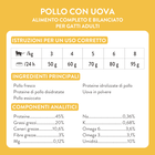 Schesir Born Carnivore Cat Adult Pollo con Uovo 255gr
