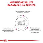 Royal Canin Veterinary Diet Dog Cardiac 2 kg