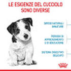 Royal Canin Dog Mini Puppy 8 kg