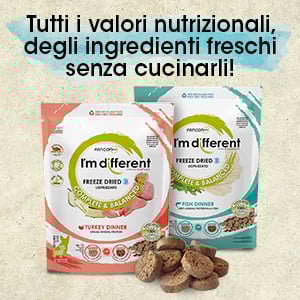 61af2fa312f219c7079879fa