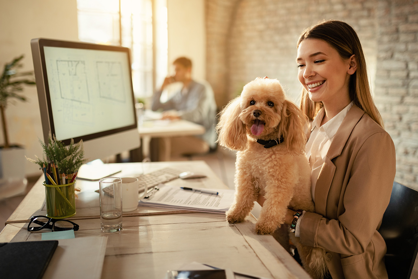 Animali con noi in ufficio: normative e benefici