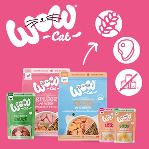 65e1cc92629b427171055c9d