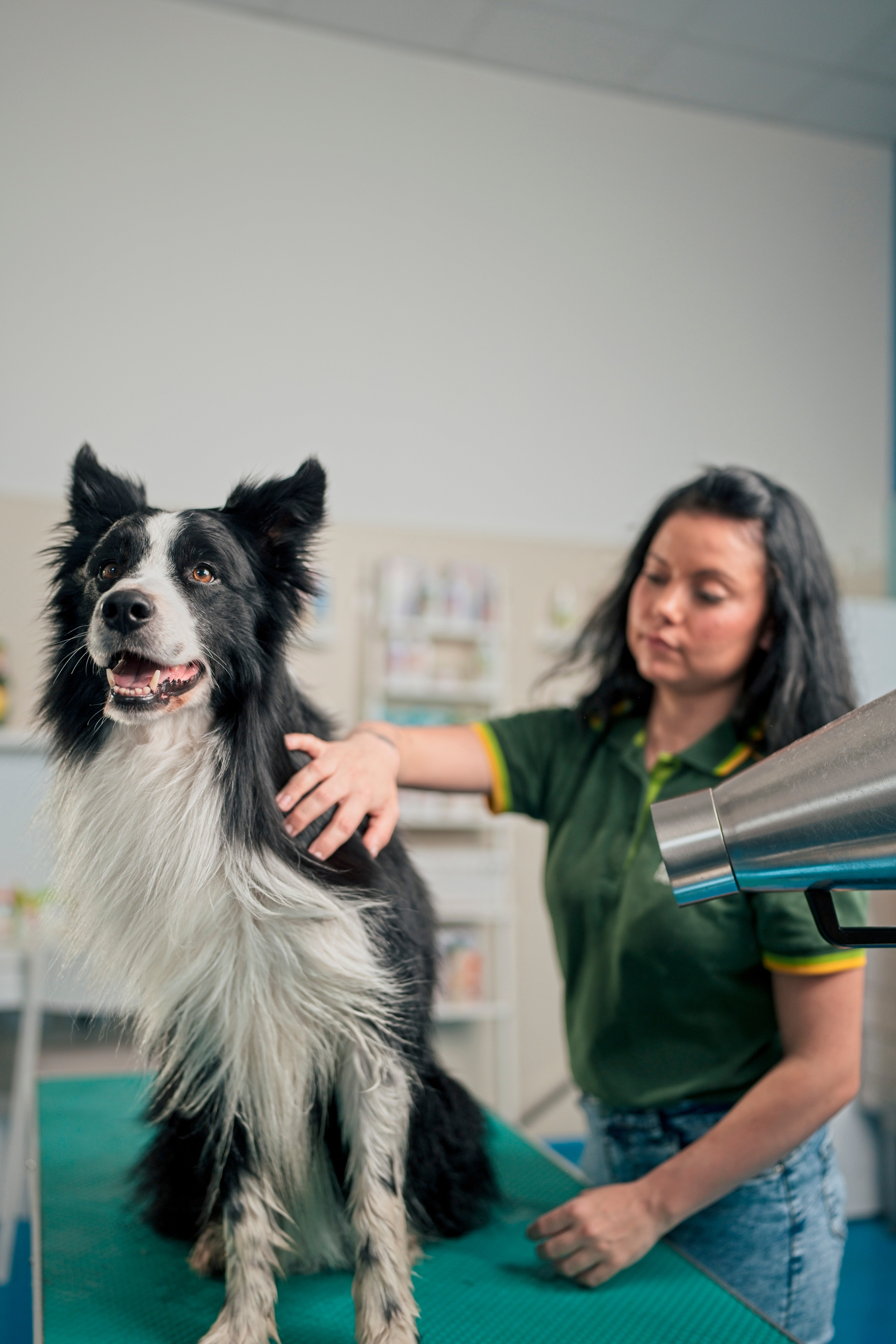 CI PRENDIAMO CURA DEL BENESSERE DEGLI ANIMALI DOMESTICI