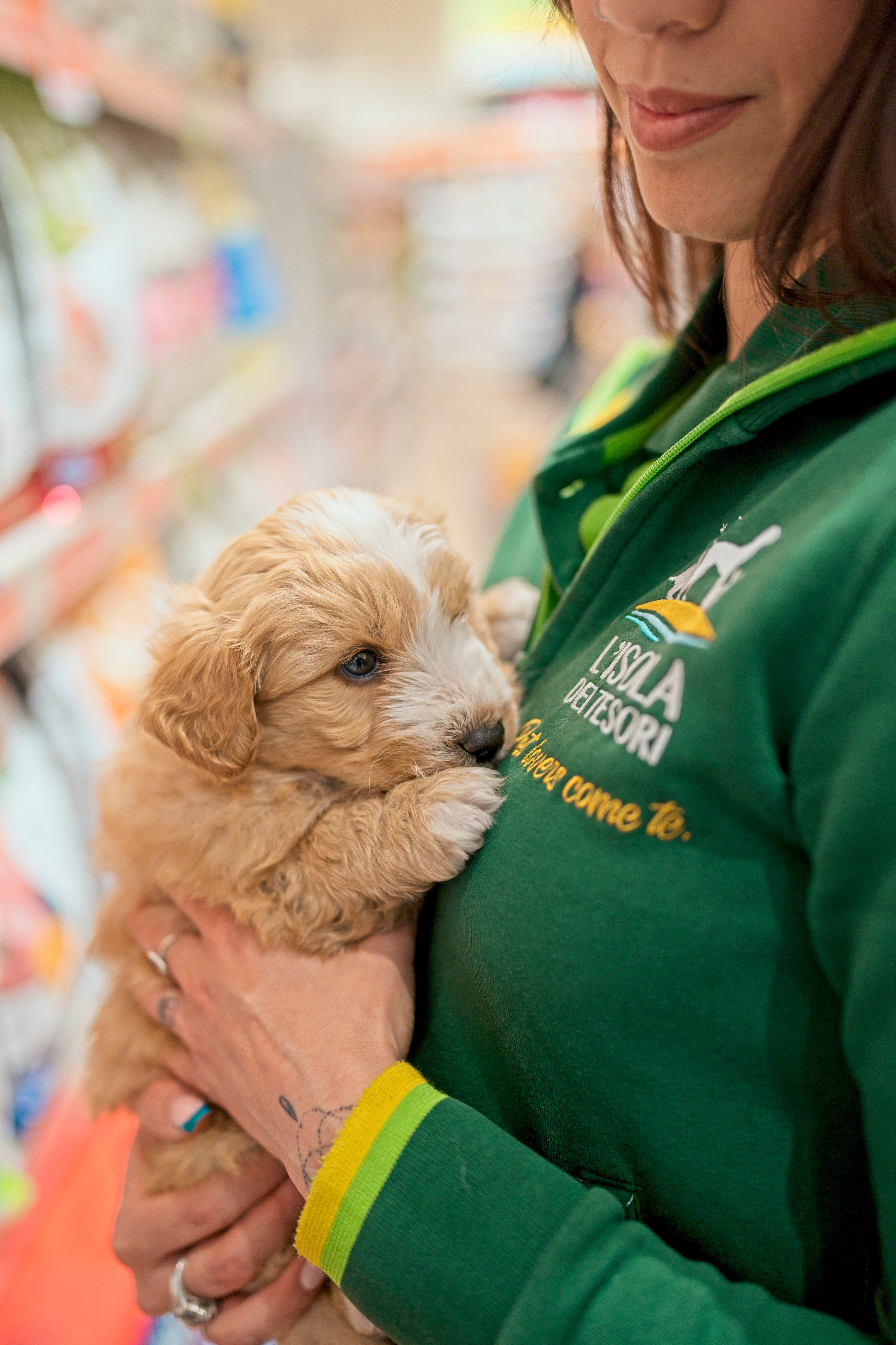 BENESSERE AZIENDALE IN UN AMBIENTE DI LAVORO SANO E POSITIVO