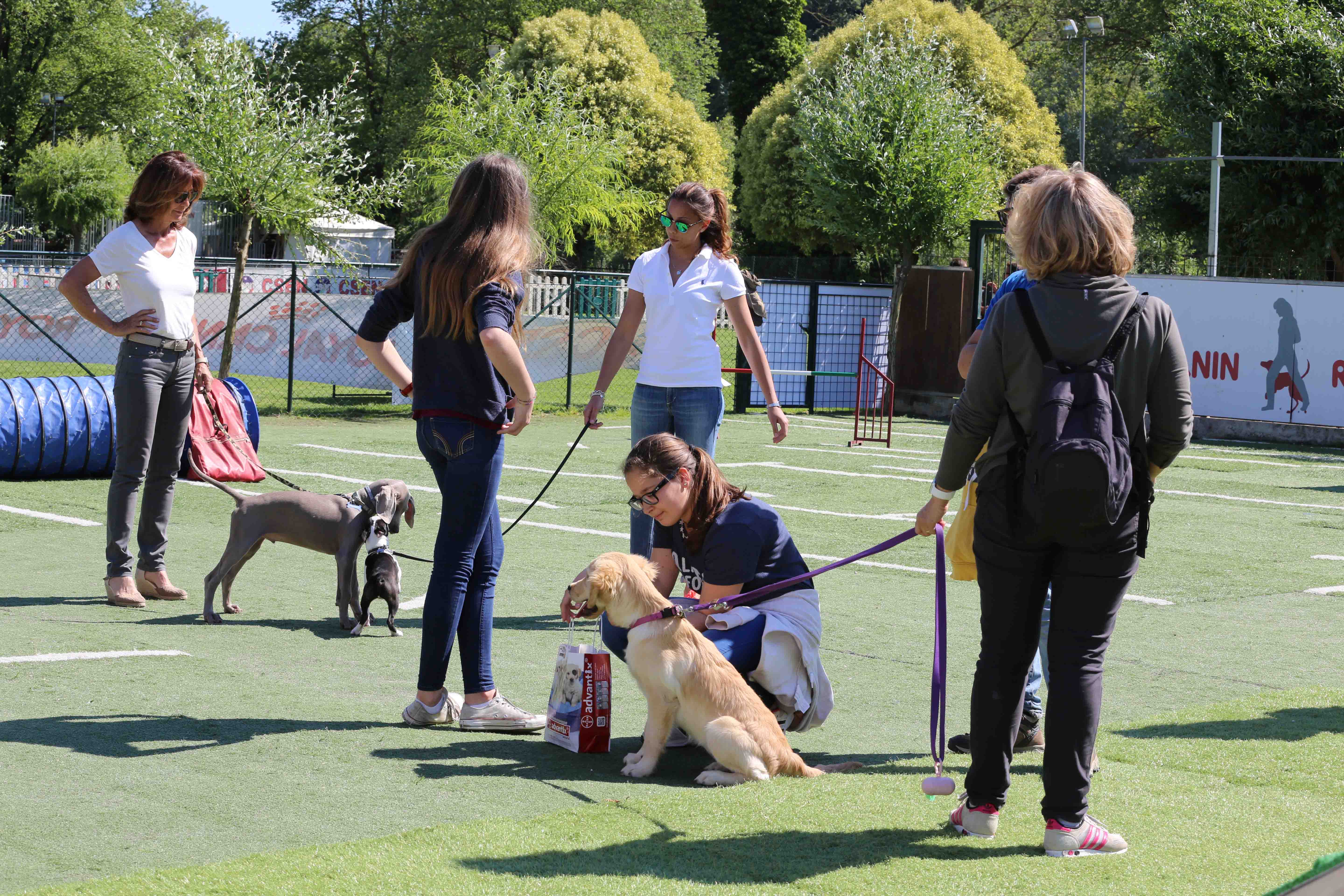 L’ABC PER VIVERE (CORRETTAMENTE) CON UN CANE