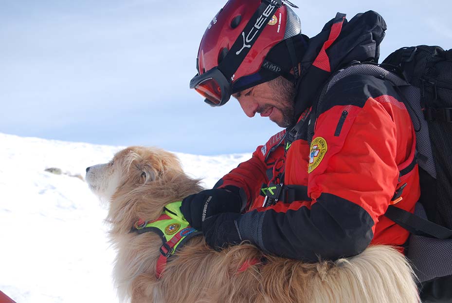 Unità Cinofile da Valanga: i “soccorritori a quattro zampe”