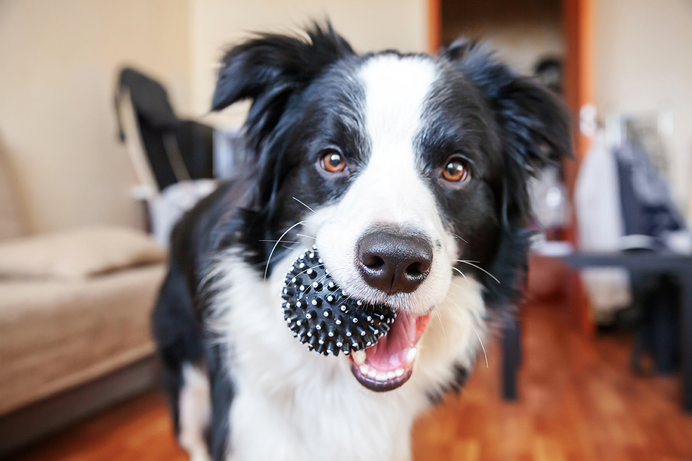 DUE PALLINE SONO MEGLIO DI UNA